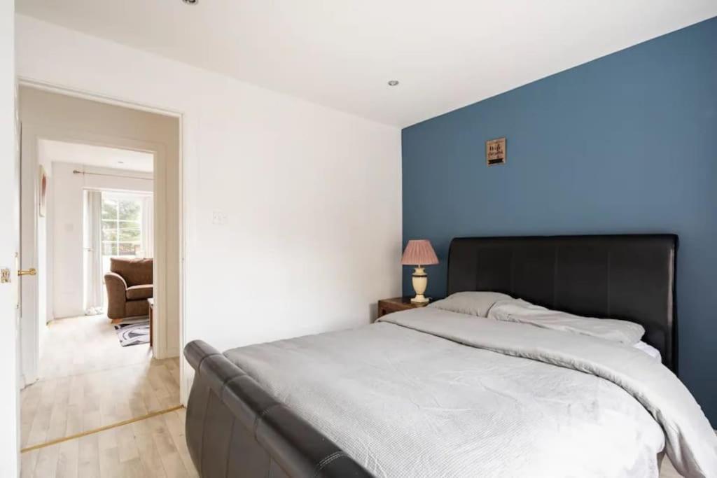 Lovely One Bedroom Flat. Белфаст Экстерьер фото
